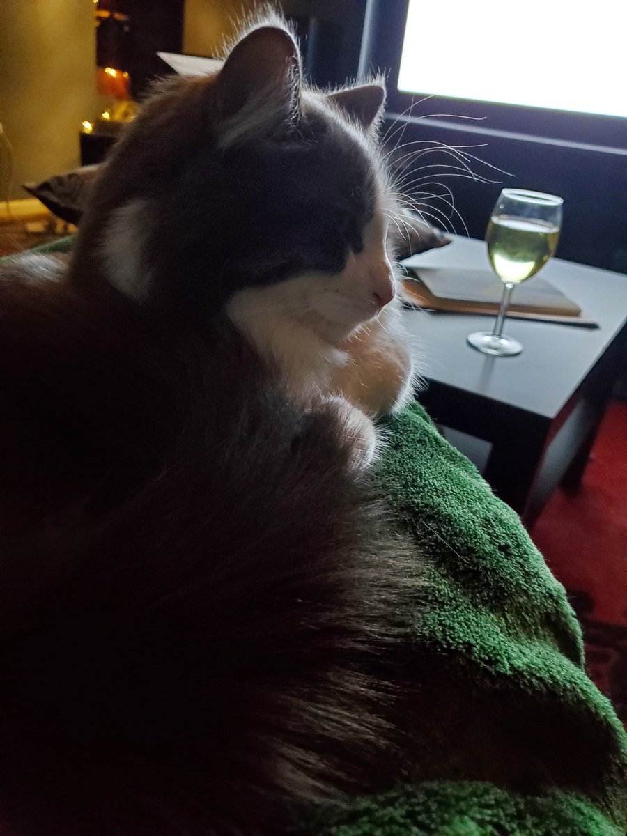 Settling in for Clyde's by @Lynnbrooklyn with a glass of wine and a cat in my lap. Thank you for streaming, @2STNYC! #Clydes @UzoAduba #GoSeeLiveTheatre #OrLiveIsh #TheatreCat #LapCat  #52PlaysByWomenNB