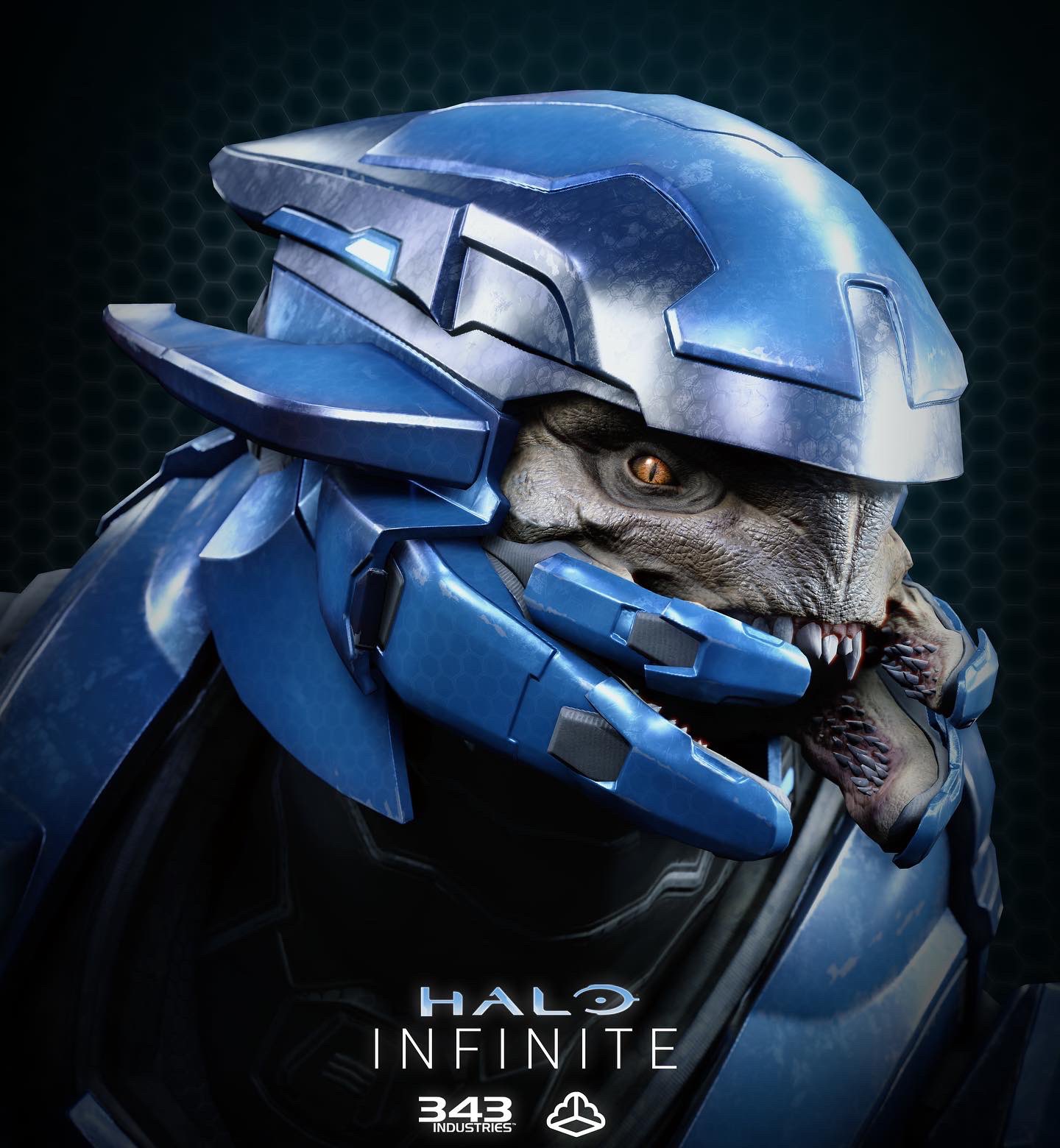 Halo Elite Face