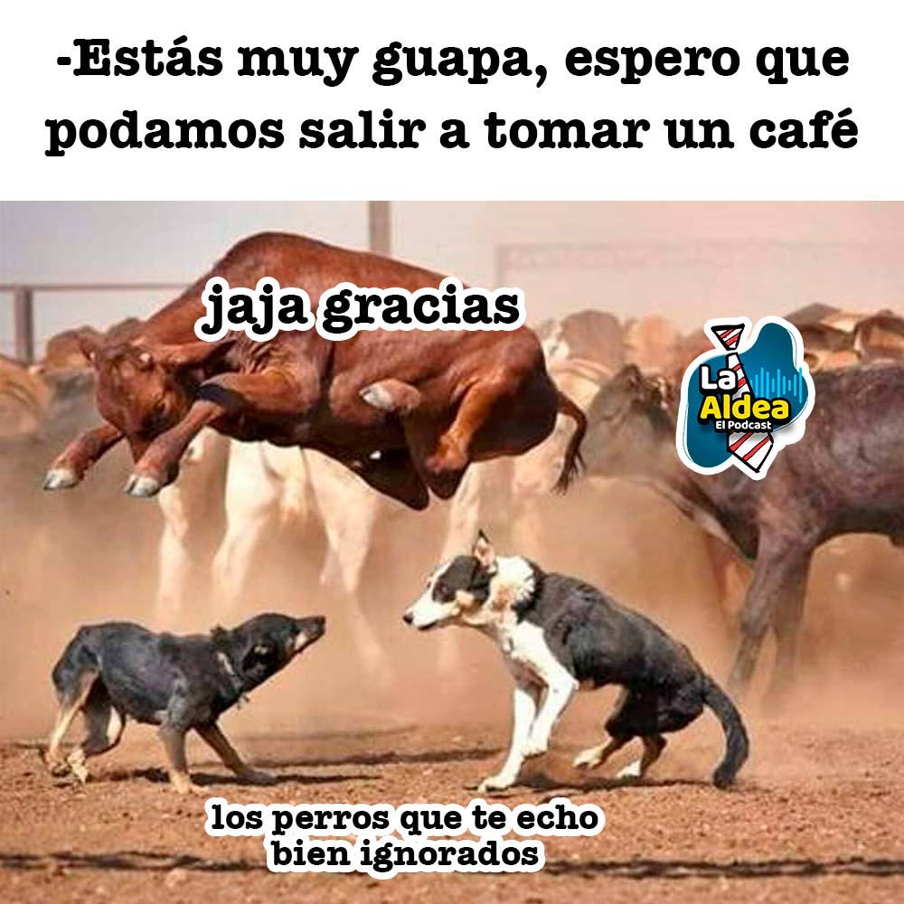 laaldeamedios's tweet photo. 😂
Sus #ligues https://t.co/Ng4HX94BBc