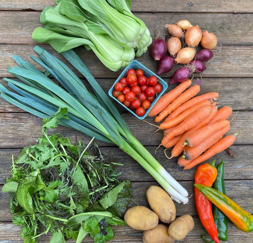 EatDrinkBuyBC's tweet photo. What is a CSA box?🥕

It is a Community Supported Agriculture box that you can subscribe to on a monthly or weekly basis and receive seasonal fruits and vegetables from your favourite local farmers. 

Read more: https://t.co/wK21lOovOZ

#BuyBC #CSAbox #SupportLocal https://t.co/C8YLNVKT5g