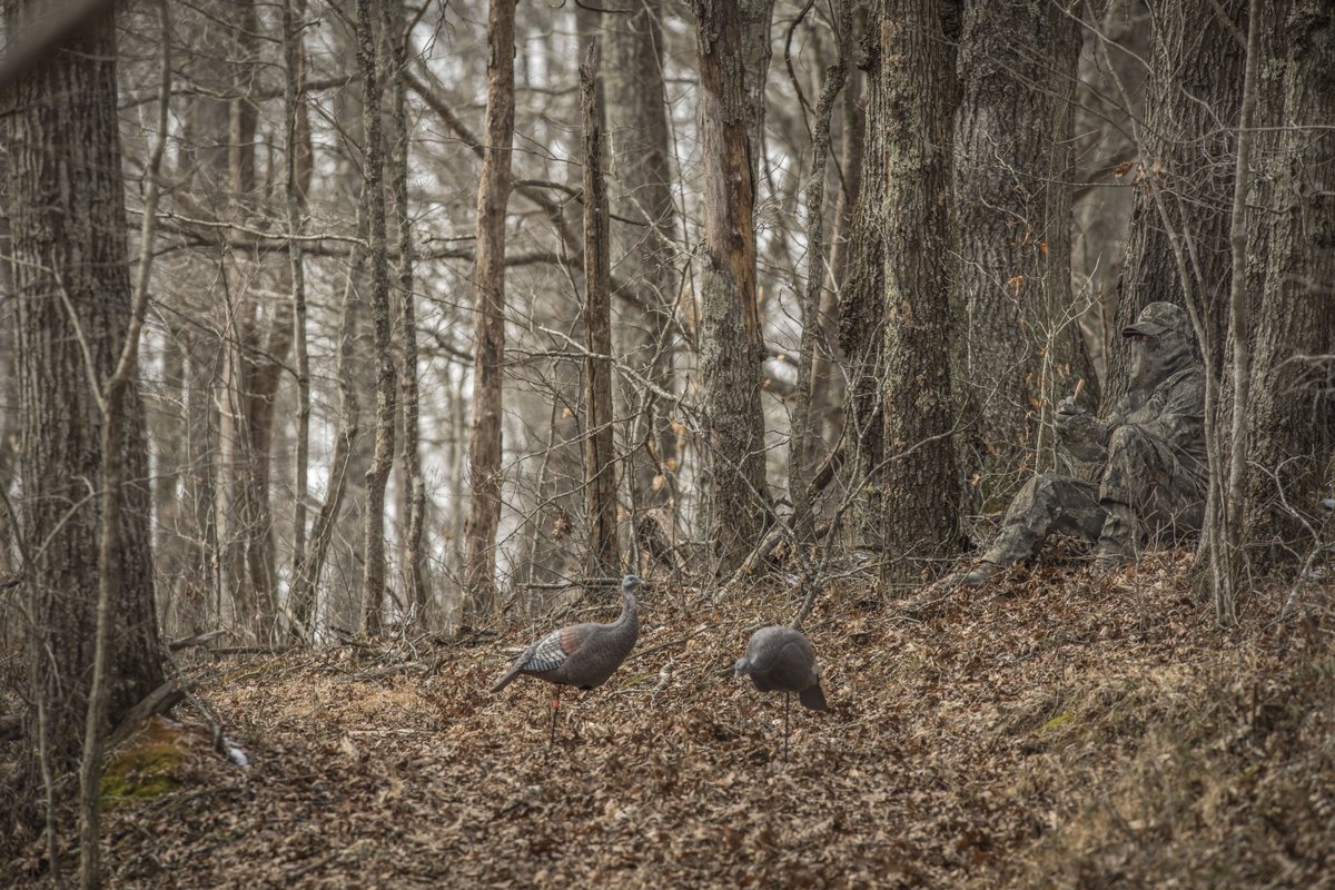 Realtree's tweet photo. Our name says it all. 

#RealtreeTimber https://t.co/lO008jyNGc
