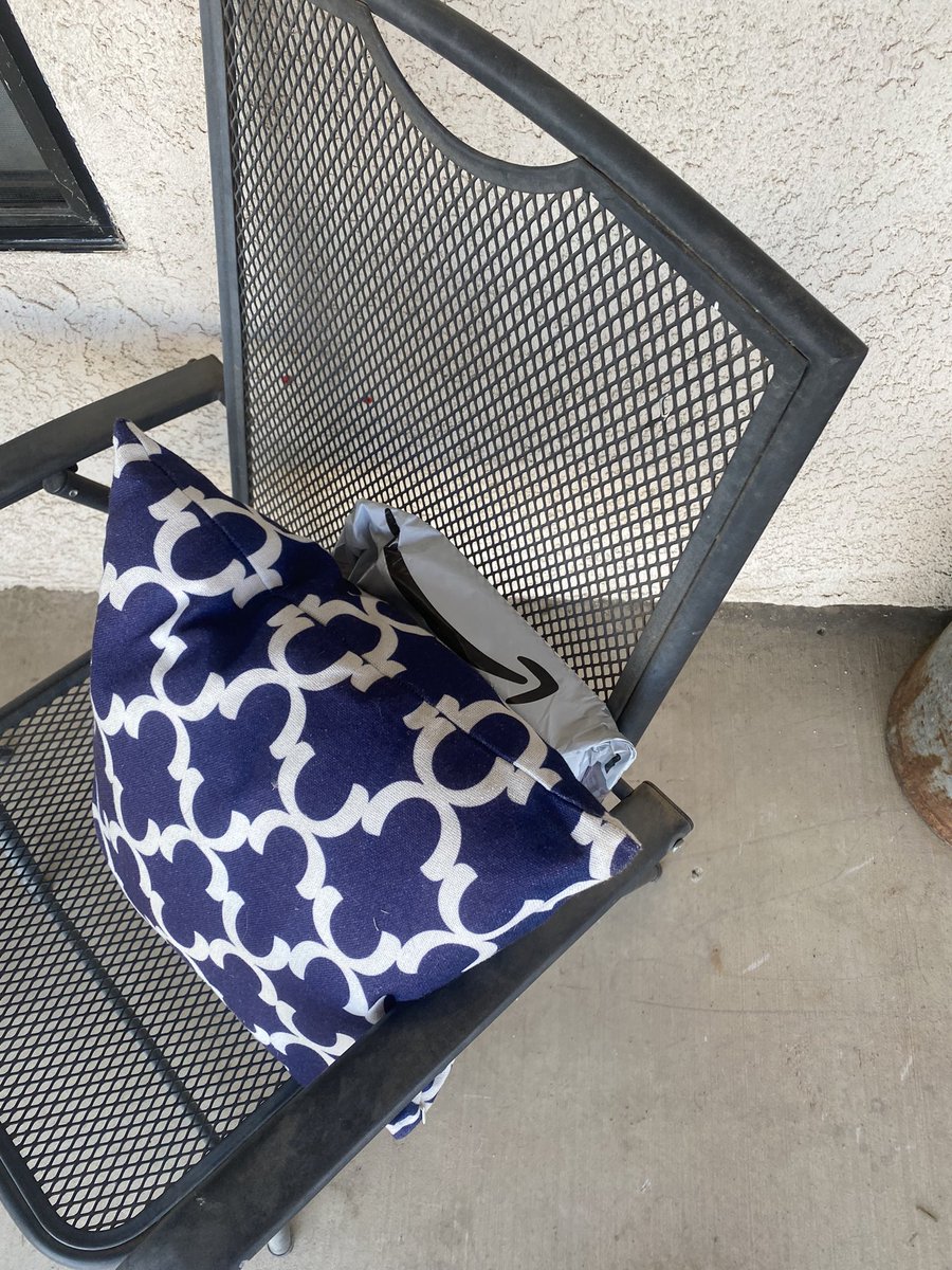 j_99_king's tweet photo. At least Amazon drivers actually try hiding the package!! 🤩 much appreciated #appreciateamazon https://t.co/w1LFIpanK7