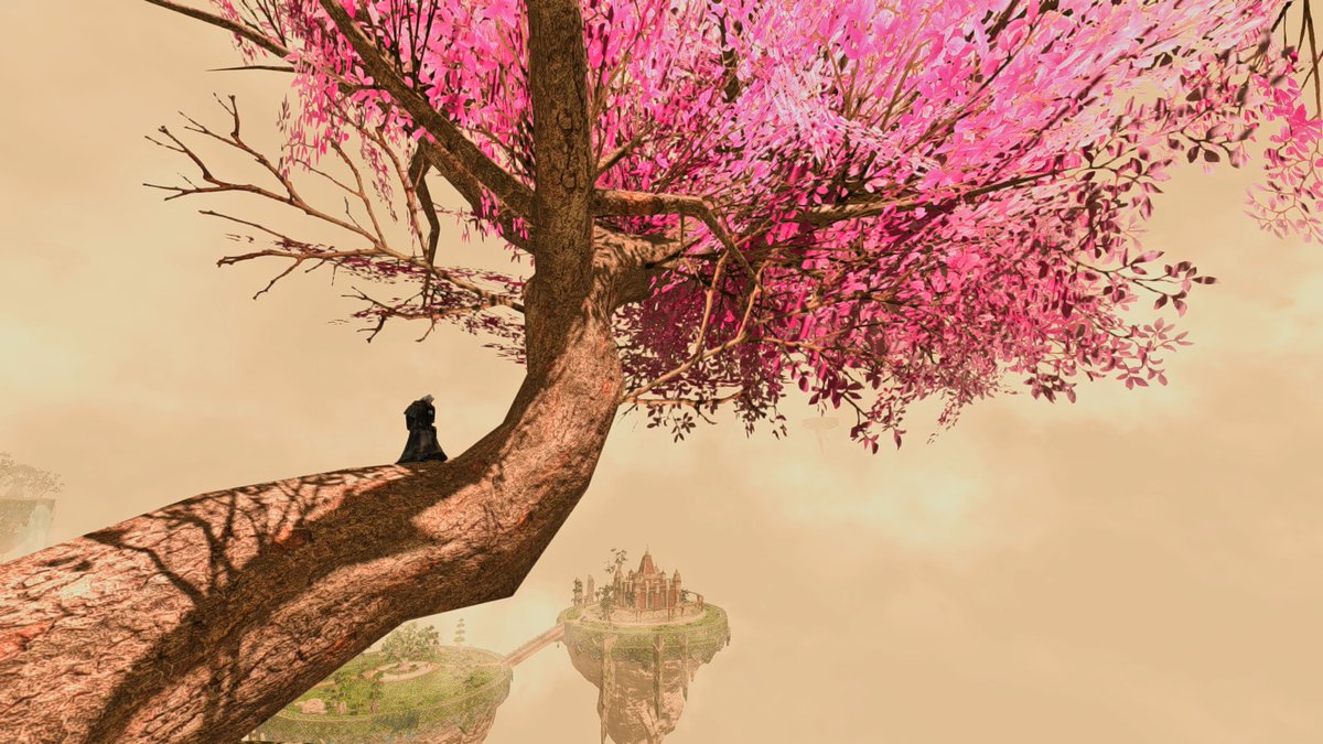 LalaBMFFXIV's tweet photo. Lala found a big pink tree

#FFXIV #FFXIVScreenshots #ffxivscreenshot #gpose #GPOSERS https://t.co/Tx4A591LcC