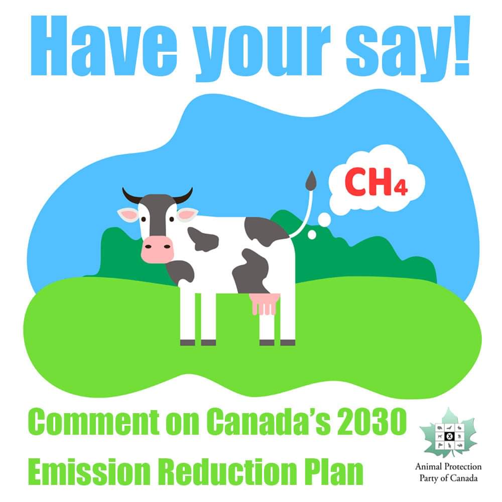 Have your say in the government's action plan for emission reduction by 2030. Make sure animal agriculture is on the agenda and off our plates in the fight against climate change. #cdnpoli #ClimateAction #cowspiracy #govegan #ditchdairy #veganuary eccc.sondage-survey.ca/f/s.aspx?s=413…