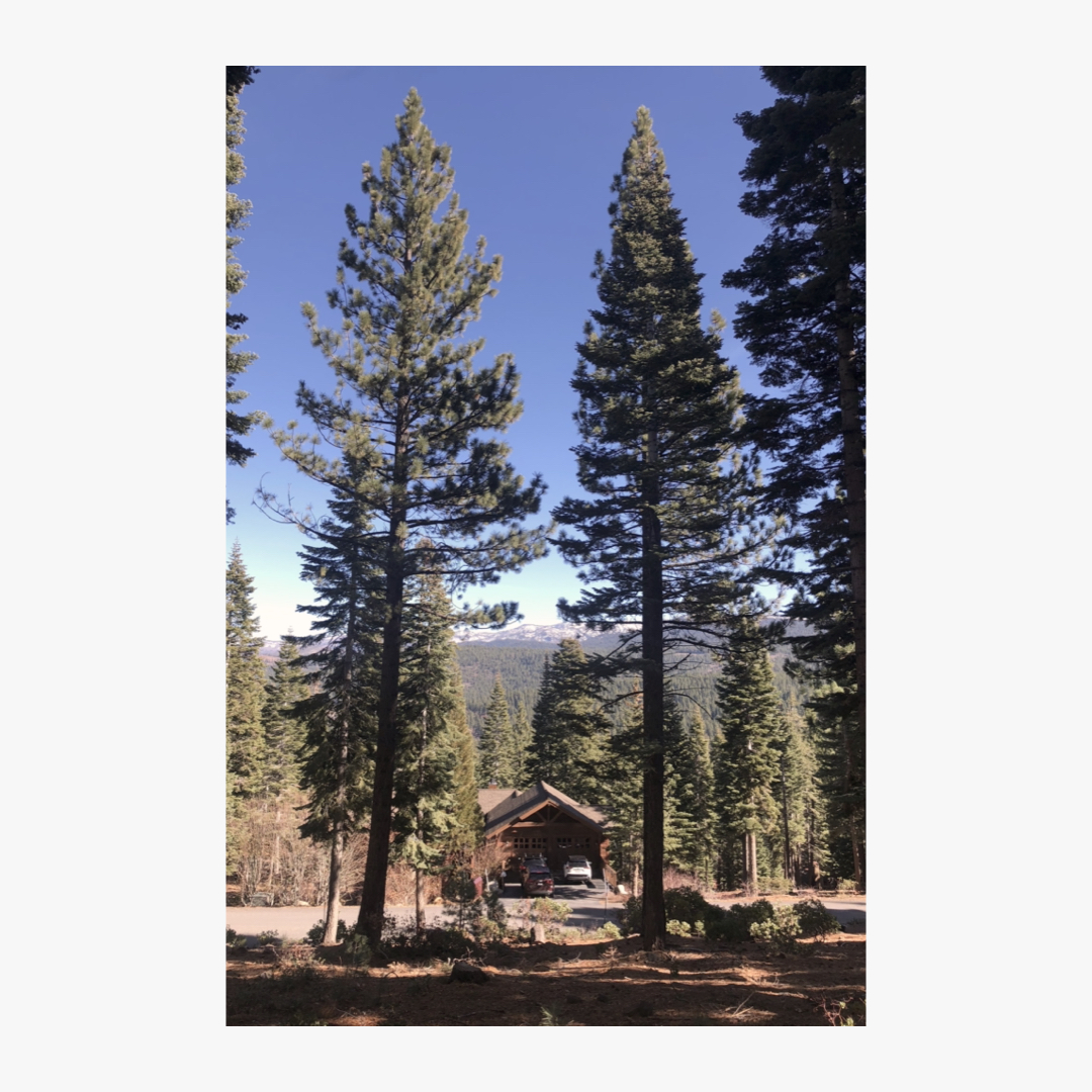 It is when we step outside the city, off the beaten path, that nature confronts us at an overwhelming scale - dwarfing architecture with its impact and power. 
#LaneyLAinc #architecture #architect #design #archdaily #archilovers #architecture_hunter #contemporary #superarchitects