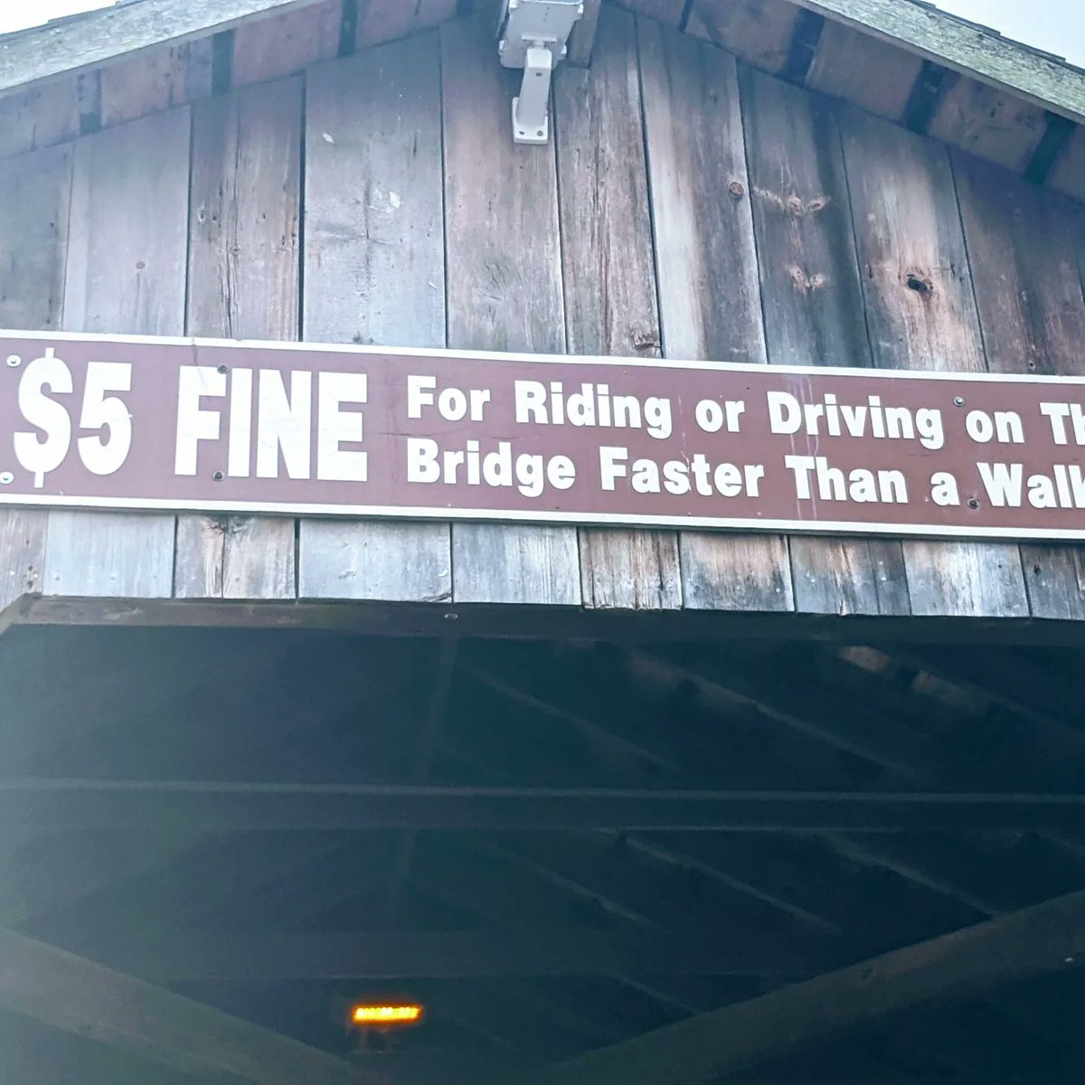 ToursAroundMI's tweet photo. 1871's Fallasburg Bridge is Michigan's oldest covered bridge open to traffic. It still has 1872's warning "$5 fine for riding or driving on this bridge faster than a walk."

#HistoryTour @PureMichigan @ExperienceGR @MIKCRC @YelpWestMI @WestMichTourist #CoveredBridge #PureMichigan https://t.co/BjwjJZME3Q
