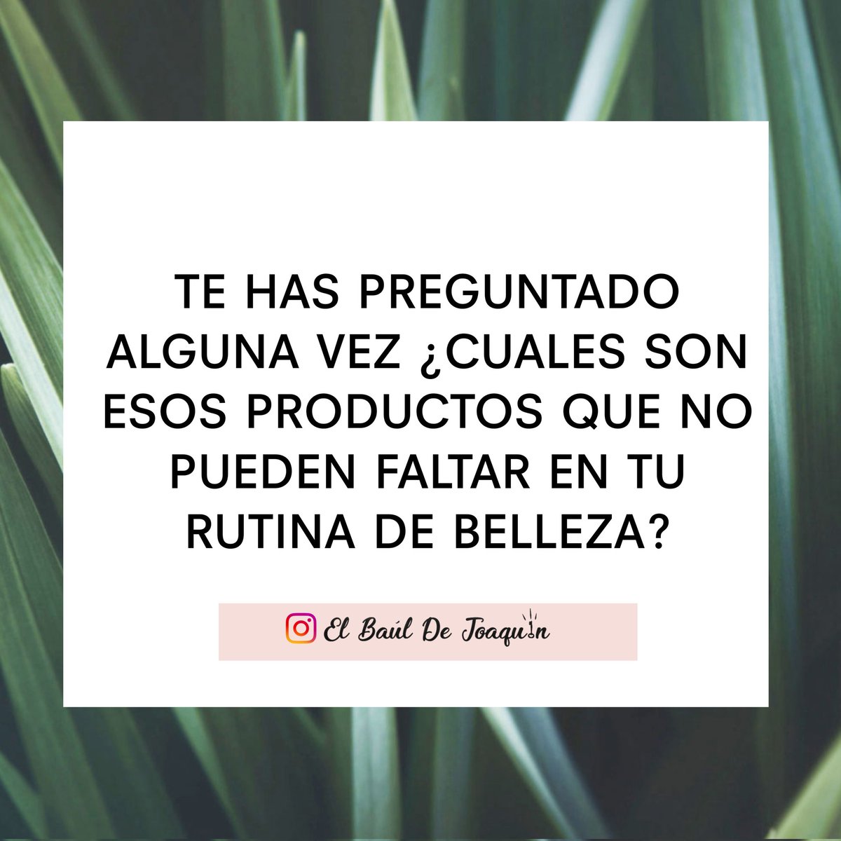 elbauldejoaquin's tweet photo. ¿Te has hecho alguna vez esta pregunta?

Disfruta de estos #tips, dale me gusta, comparte y síguenos en Instagram.

Abro Hilo https://t.co/ajZXeVQyLM
