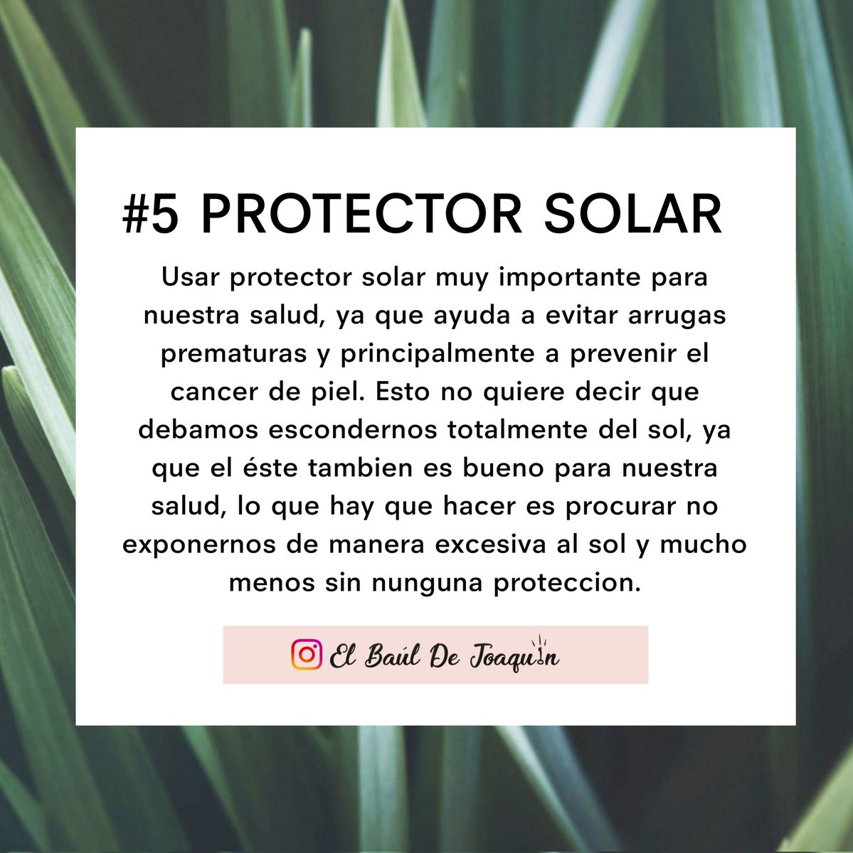 elbauldejoaquin's tweet photo. https://t.co/afErD9Qj8b