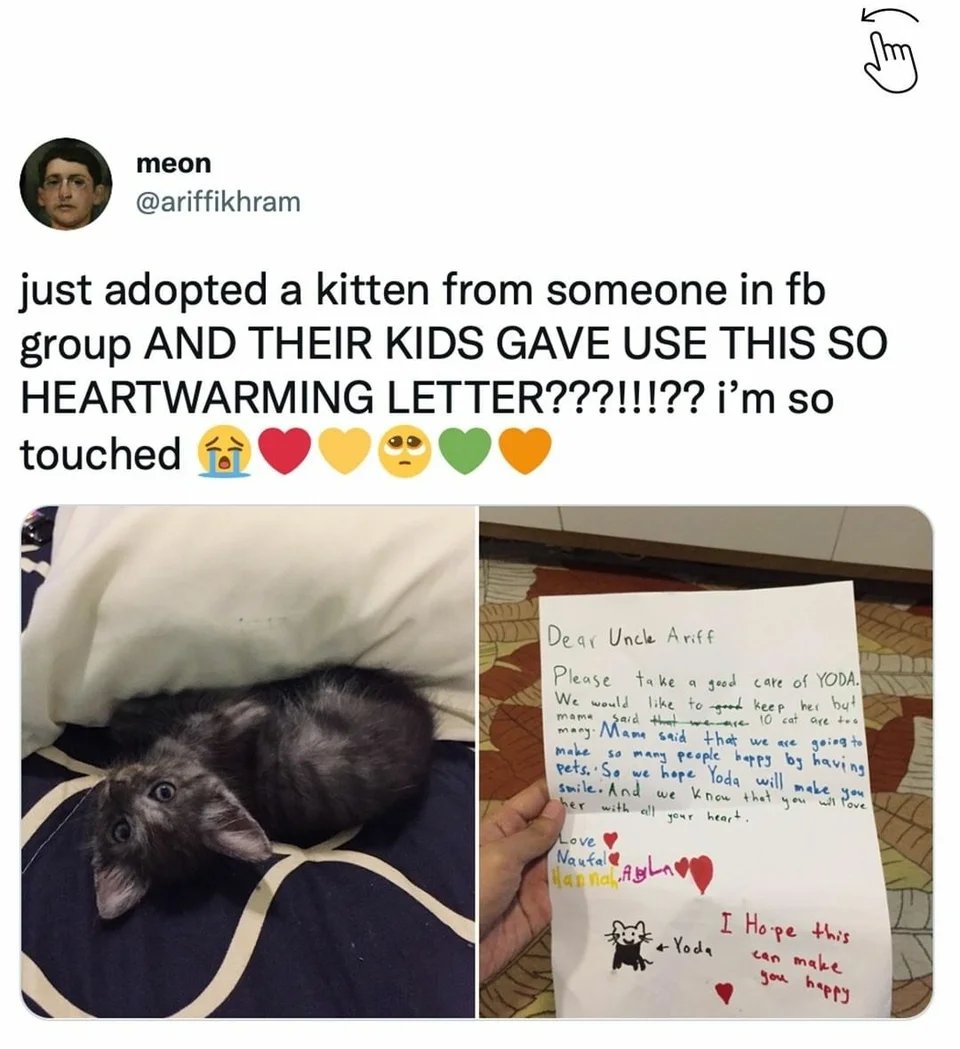 WholesomeMeme's tweet photo. https://t.co/O5Tp5B9ILQ
