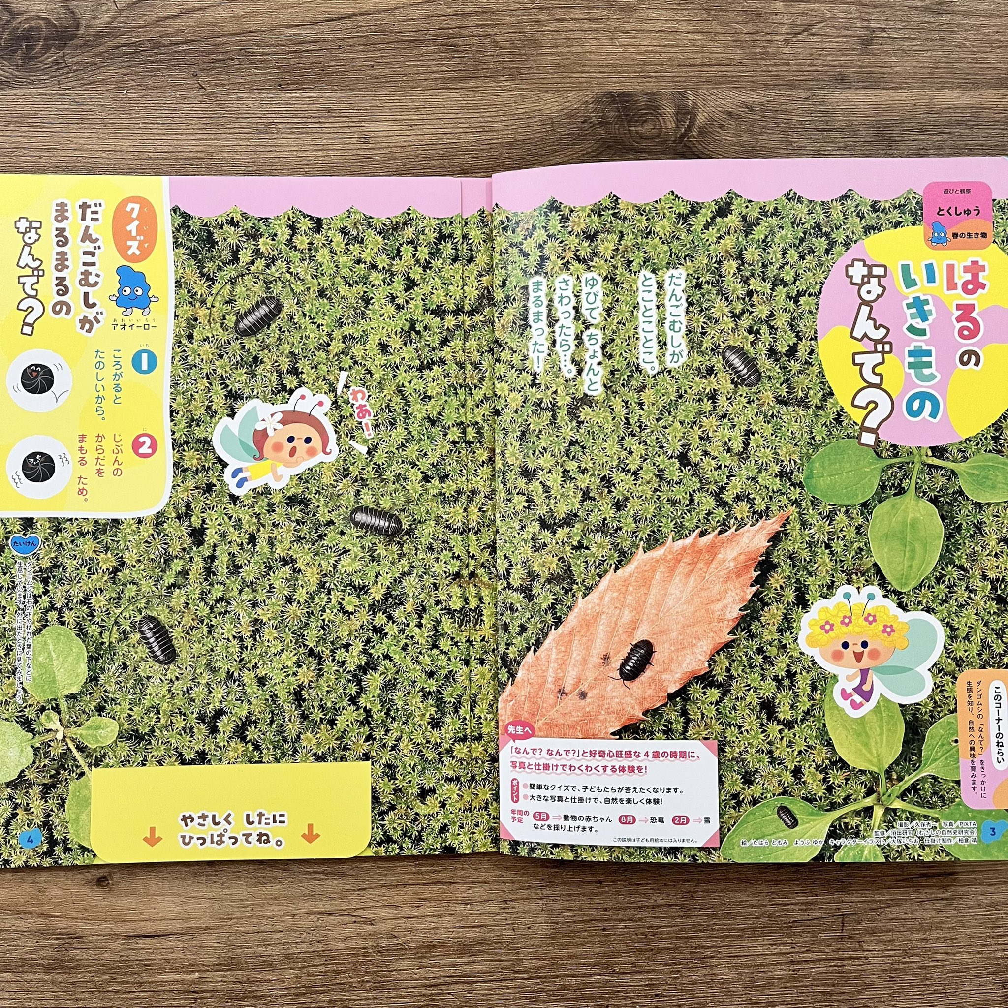たはらともみ イラスト えほん Lori Twitter おしごとお知らせ がっけんつながるえほん なんで 学研教育みらい 4月号のとくしゅうページ はるのいきものなんで で何種類かの妖精さんたちのイラストを描かせていただきました 窓からのぞく可愛い表紙