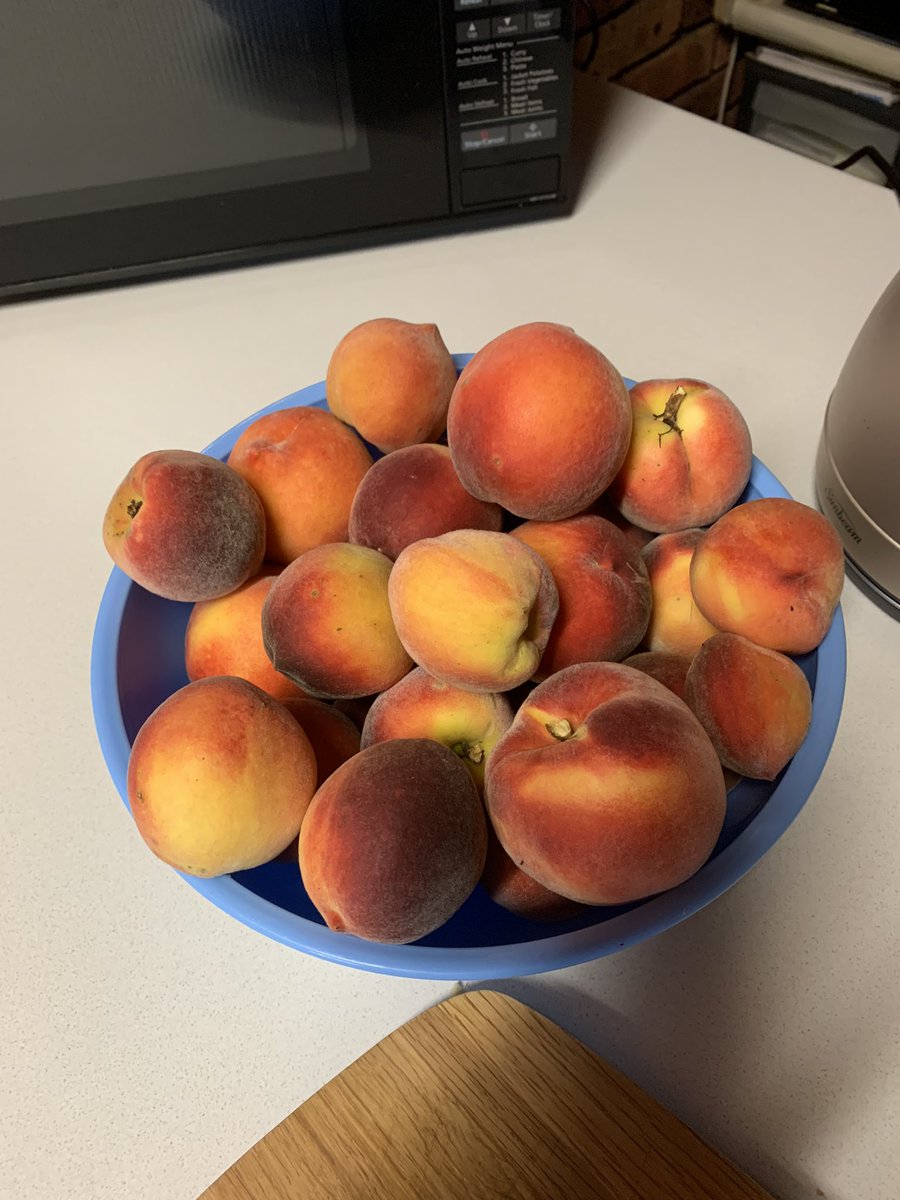 Shy70Tina's tweet photo. @Asher_Wolf Peaches 😊 https://t.co/54MwmXWMMO