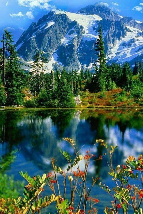 The greatest threat to our planet is the belief that someone else will save it. - Robert Swan