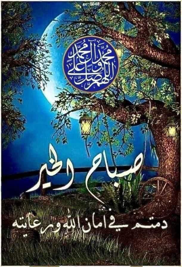 hnaahh333's tweet photo. اللهم صل على محمدوأل محمدوعجل فرجهم ياالله  ياكريم اللهم جمل صباحنابعفوك وتوفيقك وبركاتكااللهم بك أصبحنا وعليك توكناوأنت خيرألحافظين🙏💐 https://t.co/fpIvwpD6QA