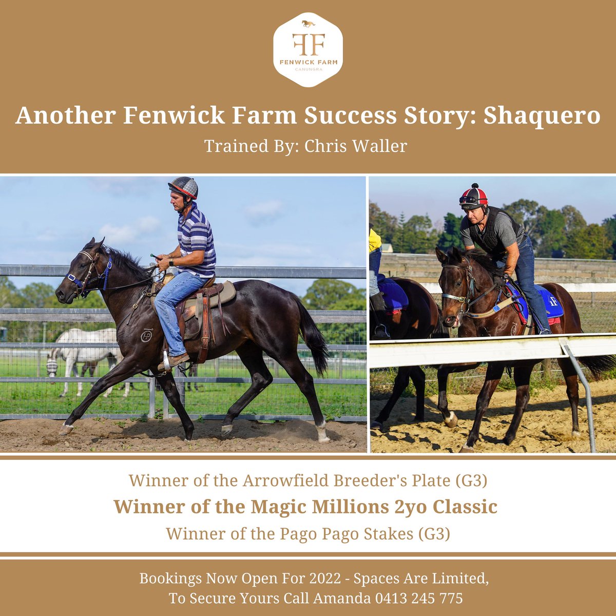 $160,000 @mmsnippets purchase has now earned $1,443,075 in prize money. Fenwick Farm are the proud early educators of Shaquero! Could your yearling purchase follow in his footsteps? - To read more about Shaquero’s story head over to our Instagram or Facebook. @cwallerracing