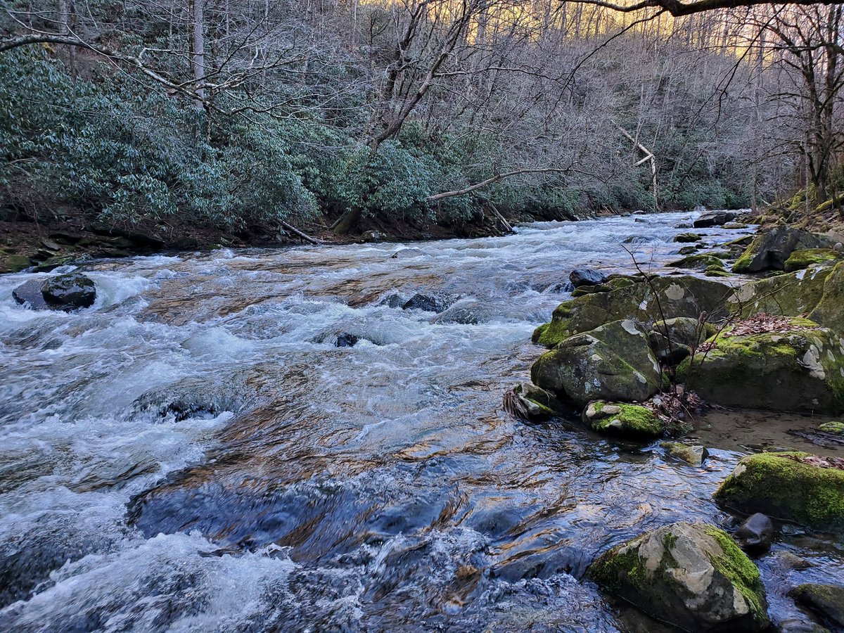 anellesgardenin's tweet photo. I got to work up here today! Along the Nantahala River. #ilovemyplantjob #utilityarborist #optoutside https://t.co/A73Wf5CbCS