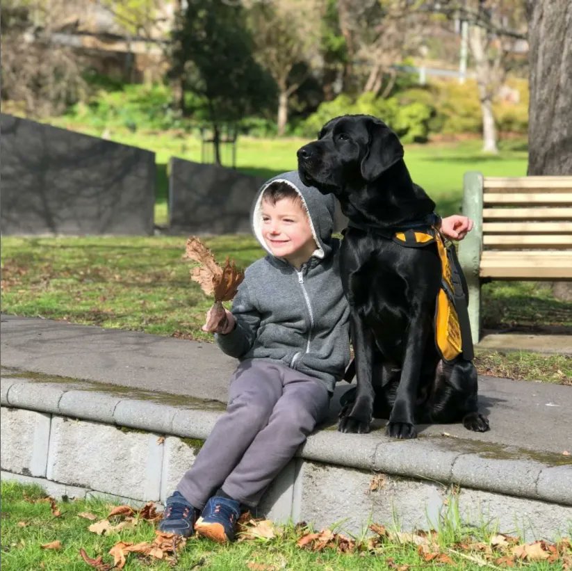 Autism_Aust's tweet photo. "Something as simple as getting a good night's #sleep was a foreign concept for the Bugg family for years – until Vinnie the #dog came into their lives." https://t.co/lNZybUwqd4 @abcnews #autism #assitancedog https://t.co/y5MAUceEY0