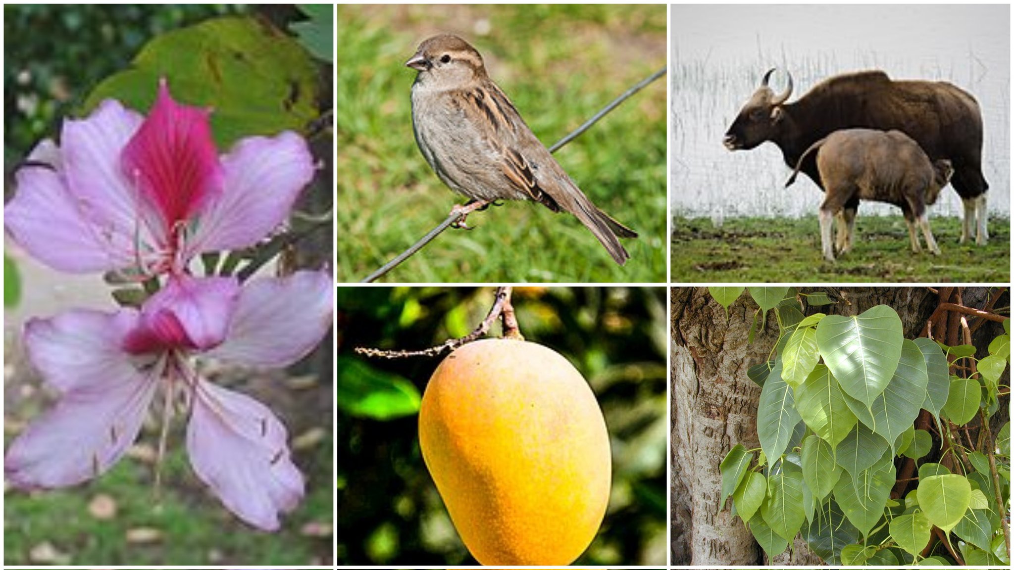 General Knowledge for UPSC TSPSC Twitterissä: General Knowledge for UPSC TSPSC Twitterissä: