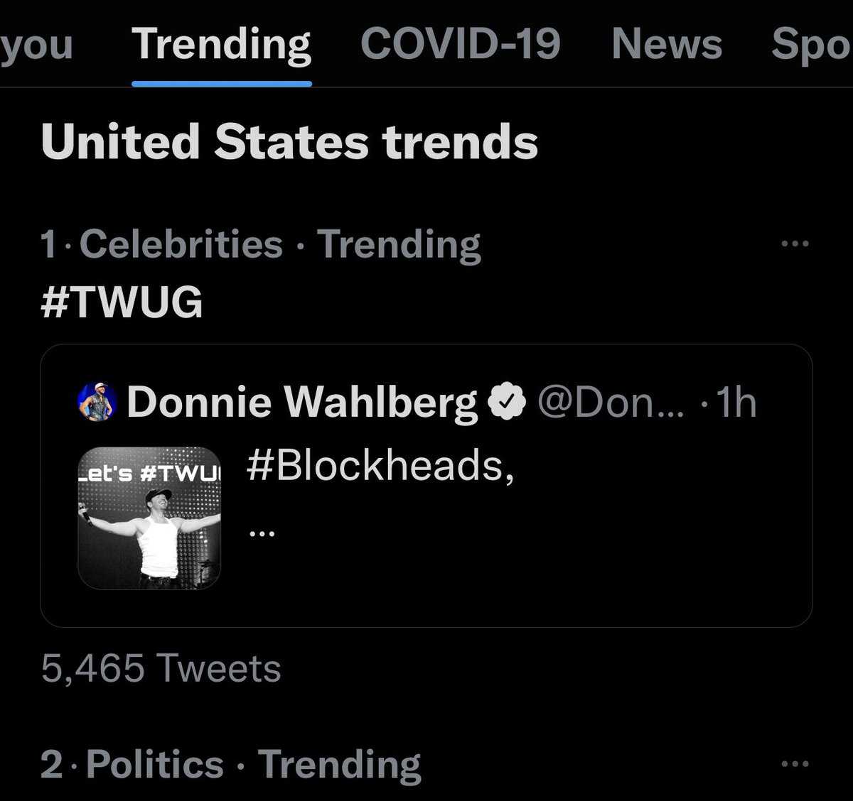 DonnieWahlberg's tweet photo. That was fun my Blockhead family! Love you guys so much!

We shall #TWUG again soon!

(not #DonnieSoon) 🤖❤️♾💫

If I missed ya, I’ll try to twitter hug ya next time! #TWUG https://t.co/9lOx16ElQp