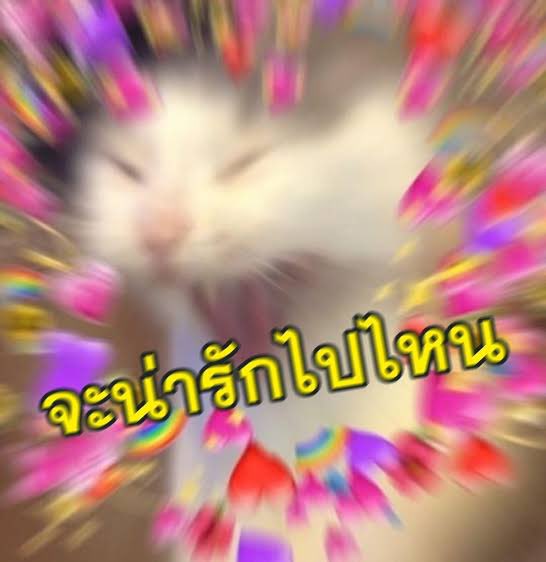 minkeuimda's tweet photo. ปล่อยกุ๊ว อย่ามาจั๊บบบบบบ!!!! ಥ_ಥ https://t.co/t5T4H8WDbt