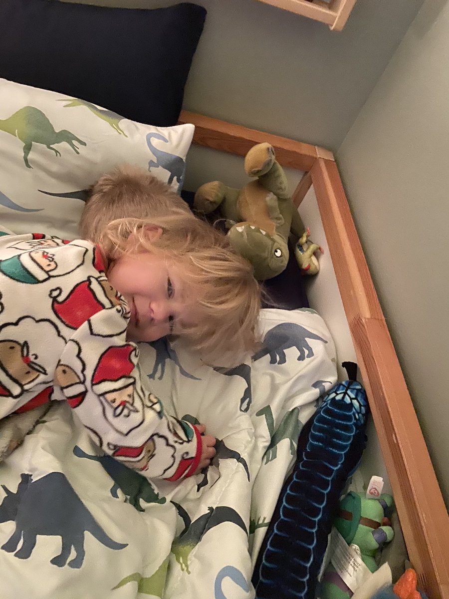 BruceAlmighty59's tweet photo. This is how @brynndalynn225 wakes me up in the morning. Sometimes she is a very sweet little sister. Other times, maybe not so much. https://t.co/5IiIJbNhOt