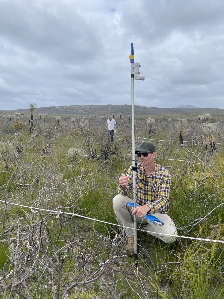 After 13 days of flora surveys, the post-fire monitoring at Waychinicup and Lake Pleasant View MER plots has been completed for 2021!  <a href="/TERN_Aus/">TERN</a>  <a href="/MERNetwork/">MERNet</a>  @envirogov