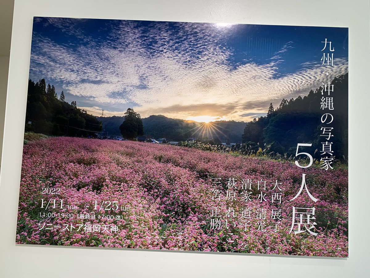 SeikeMichiko's tweet photo. 昨日からソニーストア福岡で九州沖縄の写真家五人展が始まりました。ぜひ皆さまお越しくださいね😍
#ソニーストア天神　#5人展　#清家道子　#大西展子　#萩原れいこ https://t.co/dS8KyxvKxF