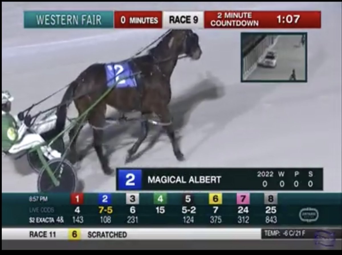 LusiAndAlbert's tweet photo. #Magical #Albert kicked off the 2022 racing season tonight. Our eight-year-old boy hung tough to take third. Magical Albert and his handlers work hard behind the scene. #teambeaton   Way to go Albert! ⁦@TheRacewayWFD⁩ ⁦@SugarDoyle⁩ https://t.co/Pus5OLcRmV