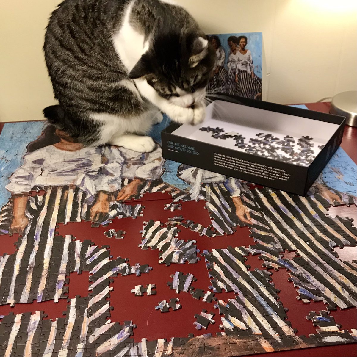 AnyaFetcher's tweet photo. One year ago today, I met Cora. Now I can’t imagine life without her.
Happy anniversary to my partner in crime, my do or die, my snuggle bug, adventure buddy, quarantine co-star, my best friend. I am so lucky to have you. #CoraTheExplorer #CatsOfTwitter https://t.co/CjmYzLriA3