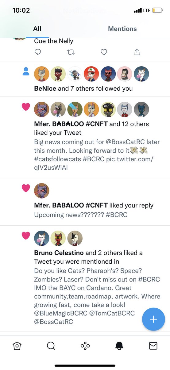 TOM & JERRY CATS tweet media