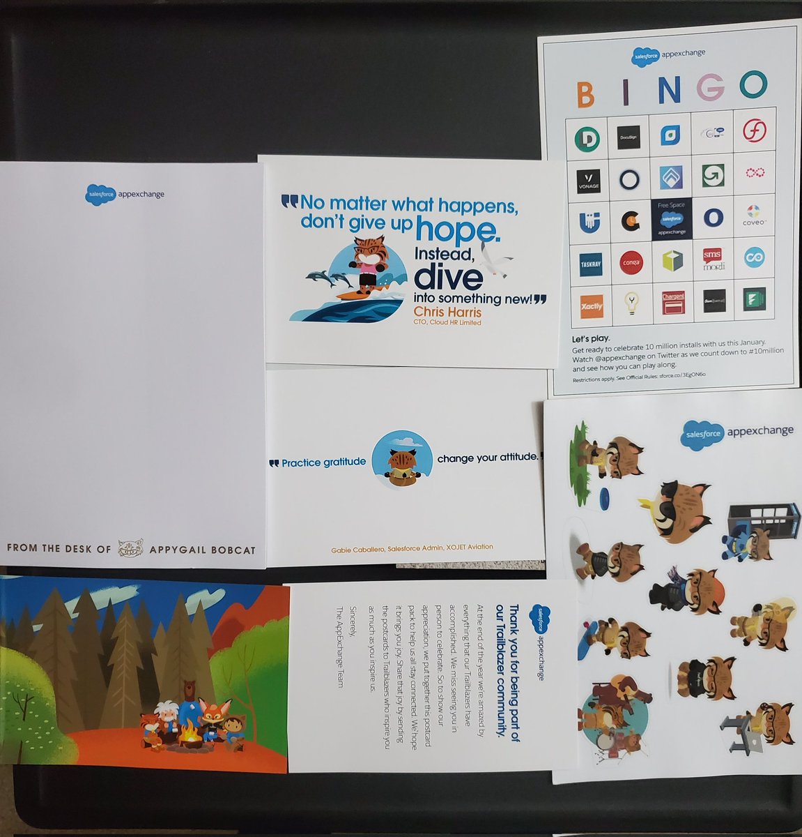 _SowmyaBhat's tweet photo. Yay. Received mine today. Thank you @appexchange. My postcards have wonderful quotes from @gcaballeroinchi and @chriscwharris #AppyMail https://t.co/sGIGD2z480