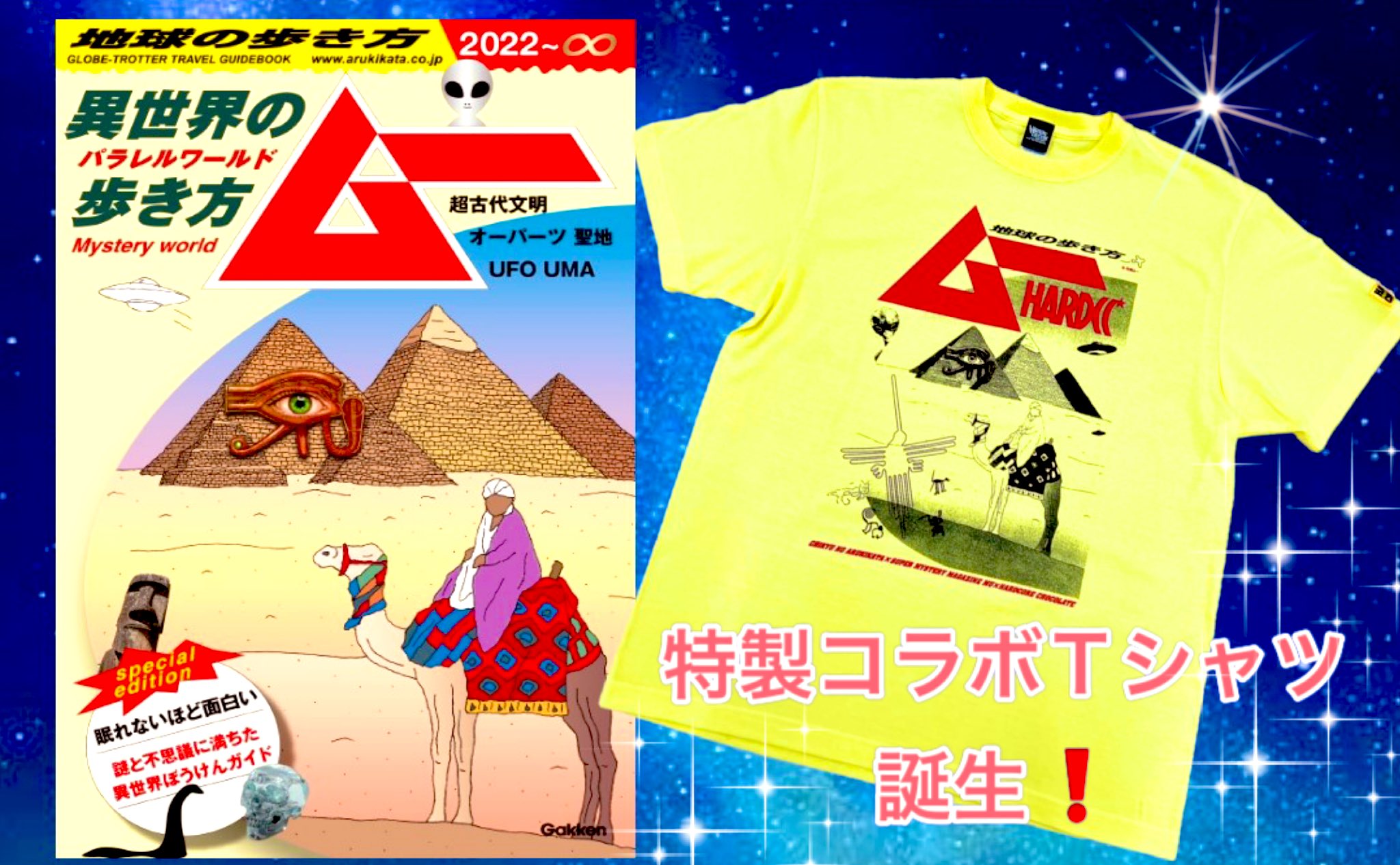期間限定お値下げ！激レア！早い者勝ち！　地球の歩き方　チベット 819P+7azamL._UF350,350_QL50_.jpg
