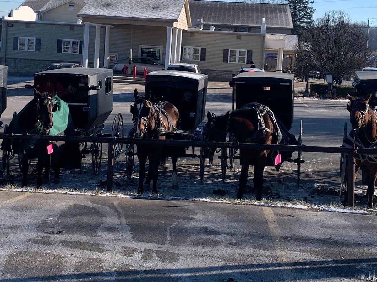 Matthew25870684's tweet photo. Today we went to Mt. Hope and saw lots of  horses and Amish buggies at the parking lot .🧢🕶📷☀️🚘🐎 https://t.co/oJud01EGnb