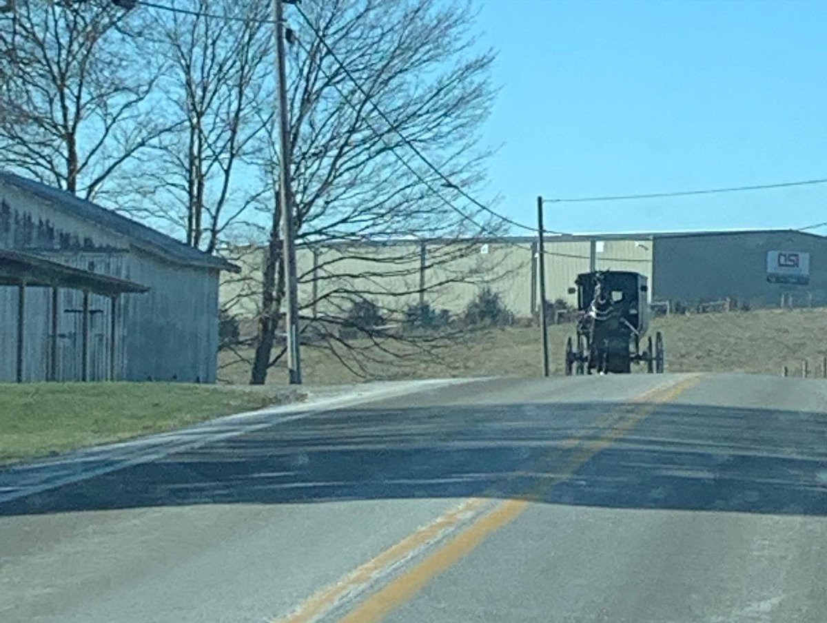 Matthew25870684's tweet photo. Today we went to Mt. Hope and saw lots of  horses and Amish buggies at the parking lot .🧢🕶📷☀️🚘🐎 https://t.co/oJud01EGnb
