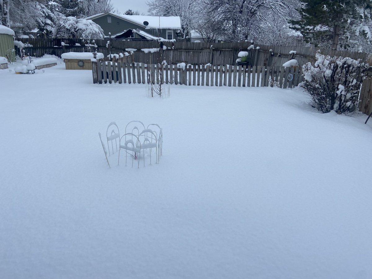 Kizzy Fox-Gause tweet media