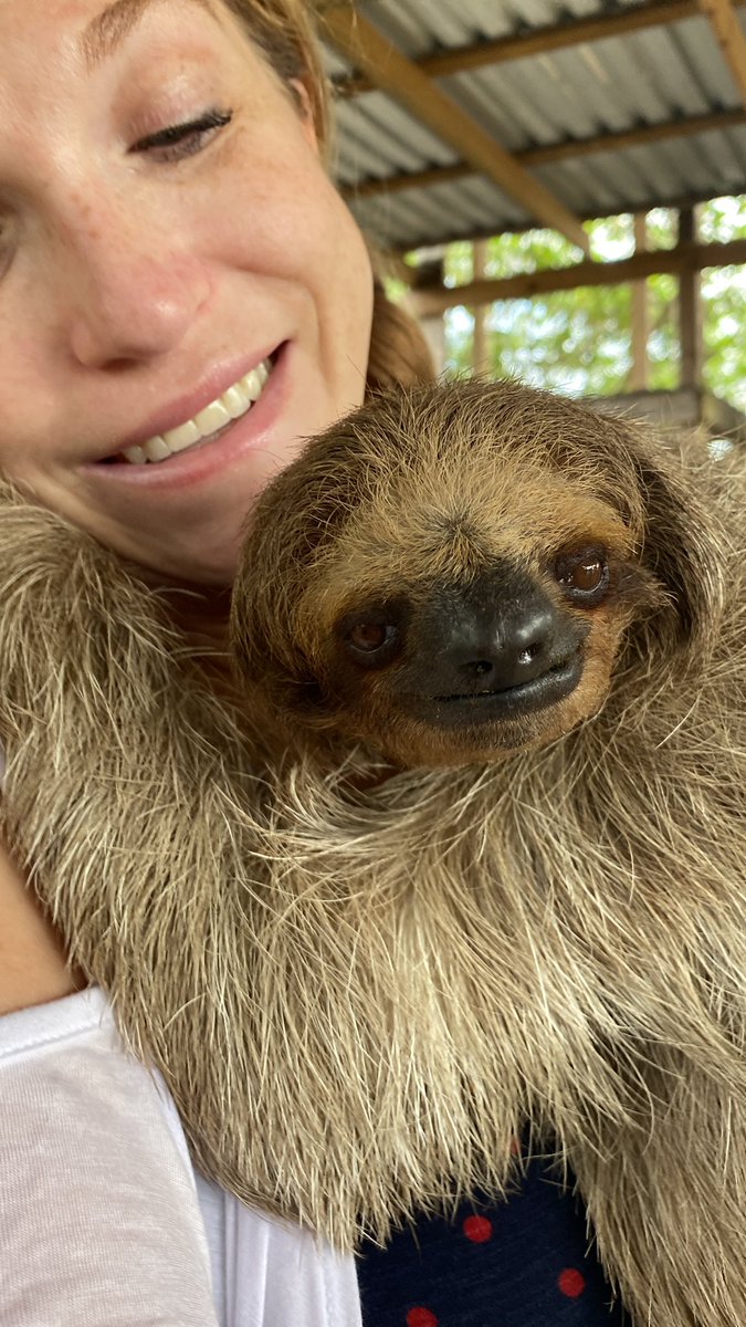 DReneeDWil's tweet photo. In a perfect world, we could all hold adorable little sloths named Olivia &amp; Sid. It was: The. Best. Ever. https://t.co/8BV1b42JEp