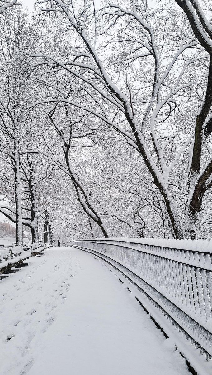ghazal_javed's tweet photo. I know we are witnessing the coldest week of the season. -21 did you hear that correctly ? #Coldestdays #Snowclad #AbsolutelyWindy https://t.co/0dLJtG6RWC