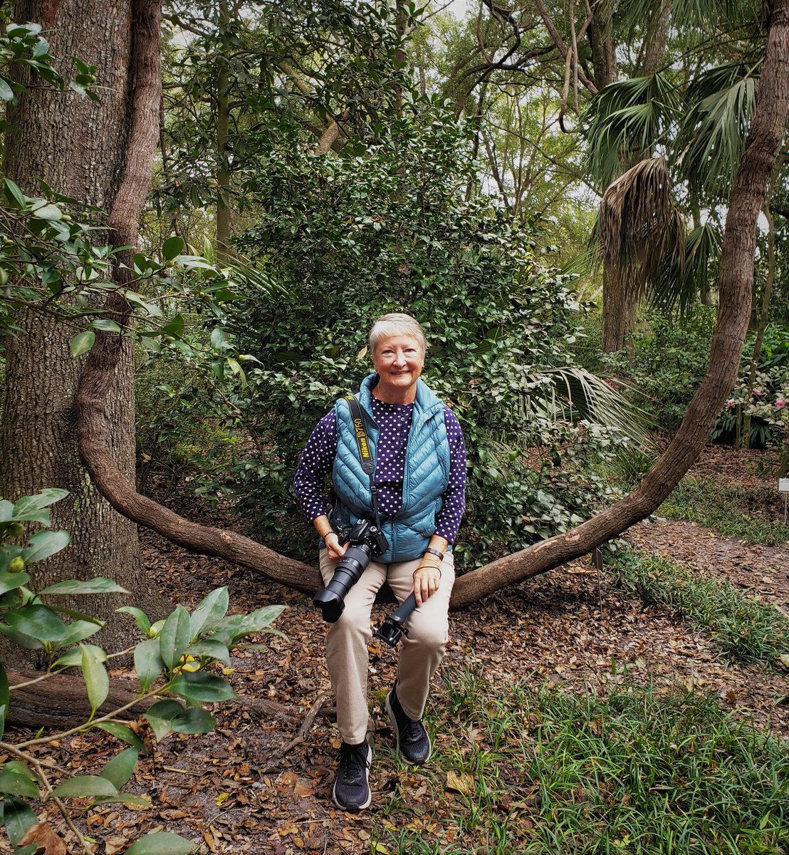 Starting off the year with Swing #1! LOL! This was taken during my visit to #KanapahaGardens in #Gainesville , Florida. It is an amazing garden, and I'll be telling you more about it soon!
.
#TravelTuesday #travelphotography #IFWTWA #Naturalnorthflorida #naturalflorida #vineswing