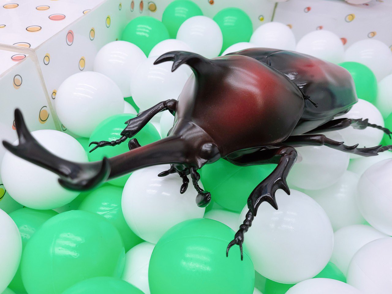 アミュージアム小松店 オオハリアリ Megaフィギュア カブトムシ Megaフィギュア 入荷しました 彡 とってもリアルな昆虫のフィギュアが登場です リアルすぎて心臓がバクバクする程のクオリティ 飾っておいたらビックリされる事間違いなしですね