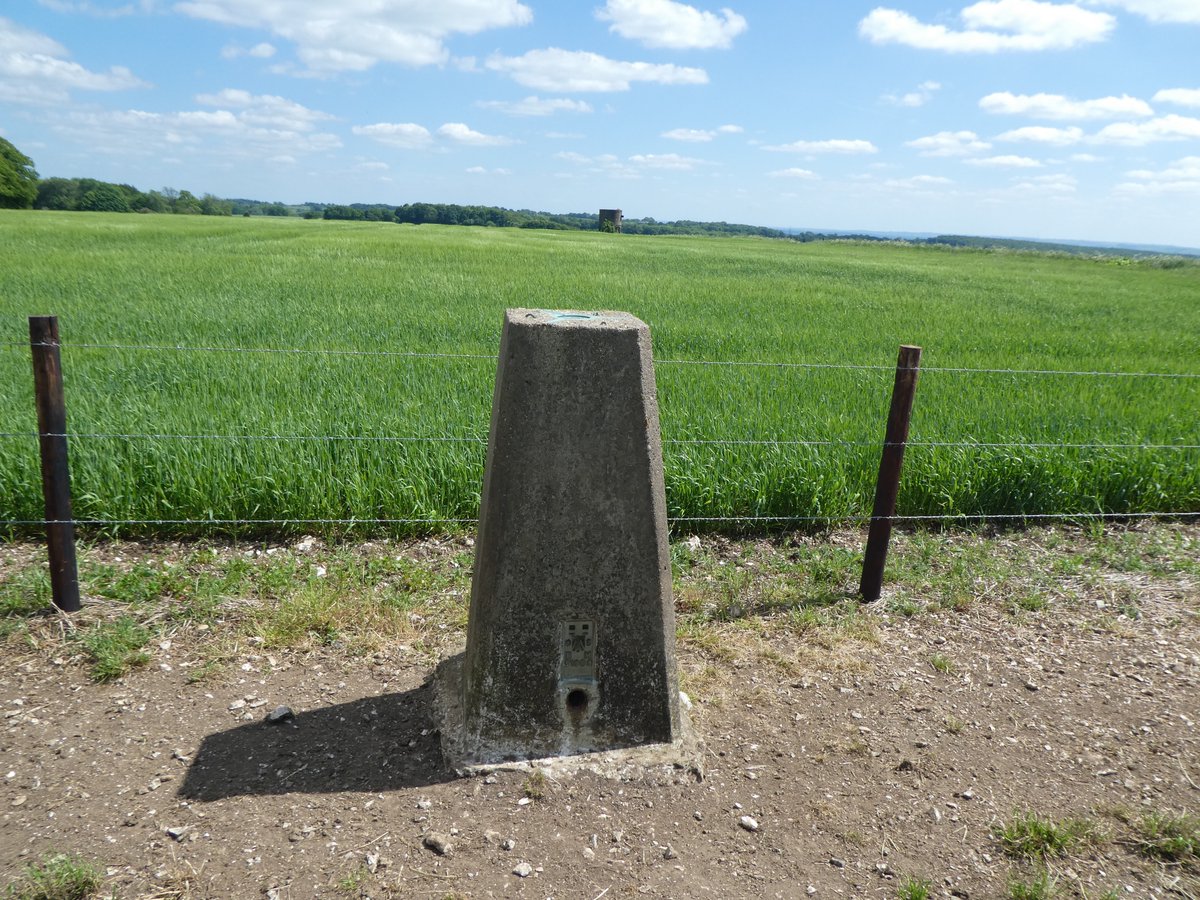 moonraker_the's tweet image. 437th @OrdnanceSurvey #OSBenchmark a Flush Bracket on Wexcombe Down Trig Pillar (Grid Ref: SU27765773) #WiltshireWalks @BBenchmarks @BenchmarkBaggi1