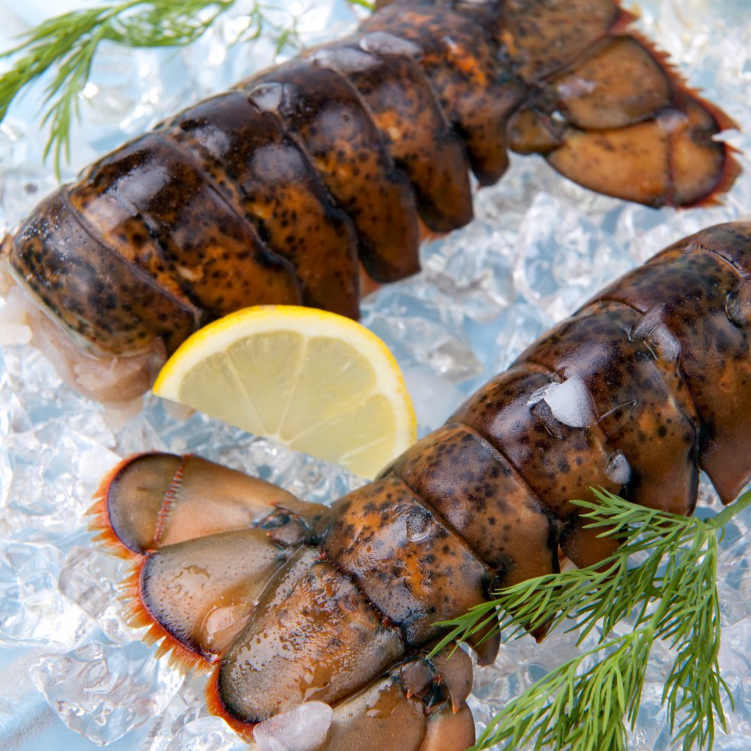 🇨🇦CANADIAN LOBSTER TAILS🇨🇦 Succulent, Flavorful Canadian Lobster Tails Enjoy the mild, sweet, and distinctive flavor of these beautiful lobster tails caught in the pristine, cold waters of  Canada. 020 3588 9999 #lobster #NationalPharmacistDay #NationalYouthDay