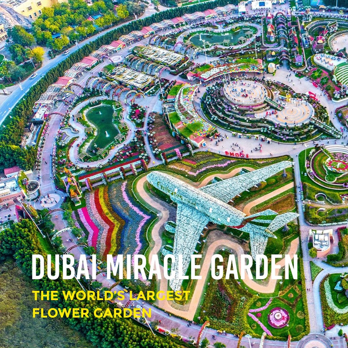 travel_analyst's tweet photo. #Dubai is the the most record-breaking city not just within #UAE but across Middle East & North Africa region. Here are some of the most amazing #GuinnessWorldRecords Dubai has earned over the years.
#travelanalyst #travel #travelling #explore #geniusworldrecord https://t.co/BwBdrdSBYj