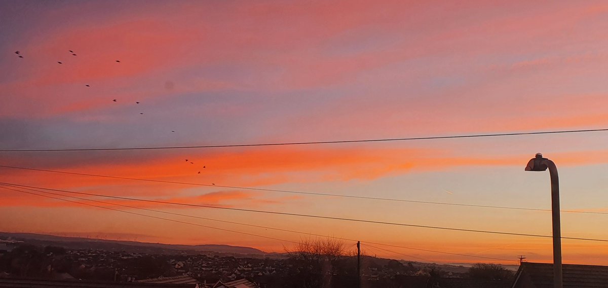 JulieG62933808's tweet image. Good Morning and Wow cracking morning better than yesterday's fog. Makes me happier ☺thinking of spring !  #thinkingofspring 
#wales #bridgend #sunrise @Ruth_ITV @DerekTheWeather @bbcweather @itvweather @metoffice #rt