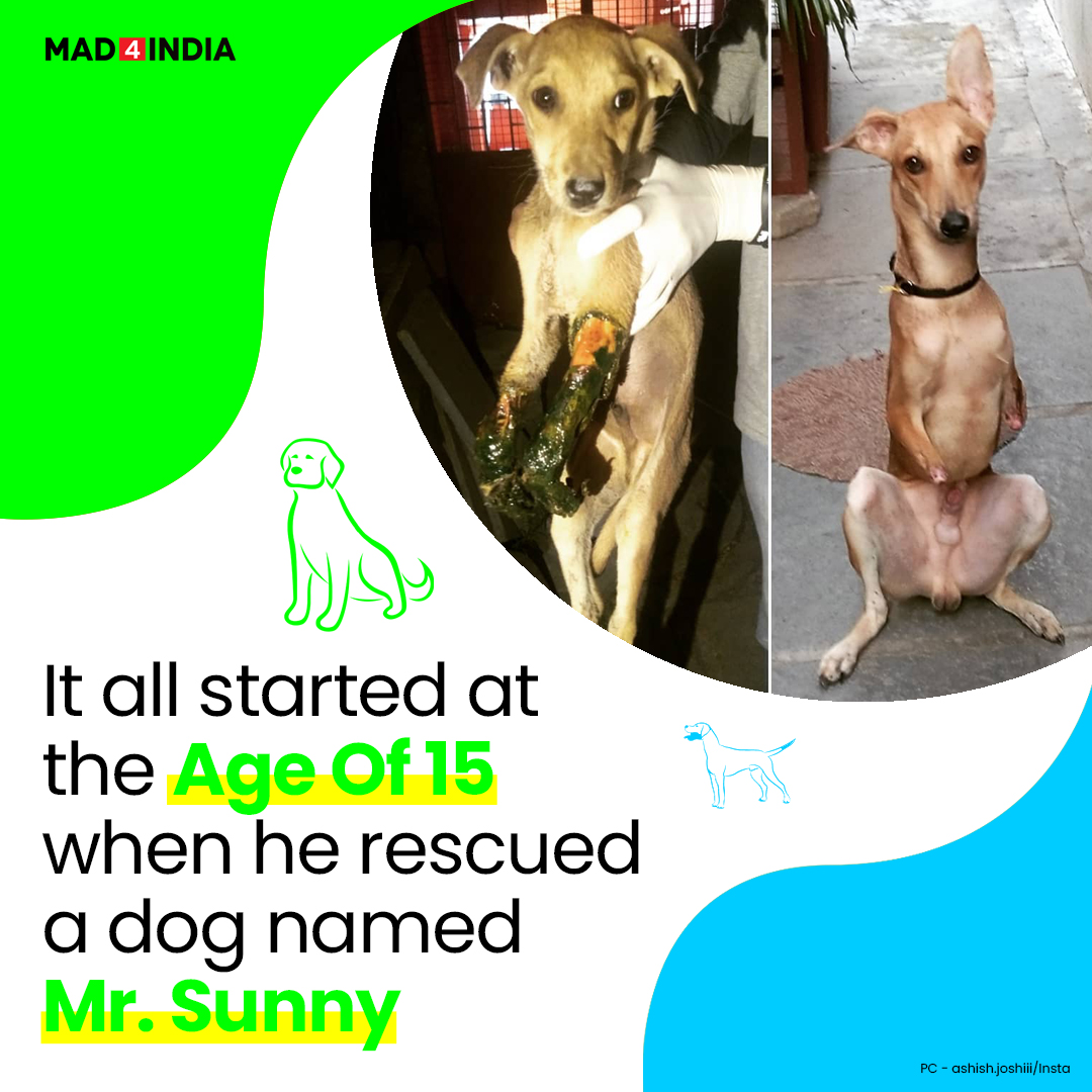 Mad4IndiaDotCom's tweet image. We don’t need a superpower to save lives, but it just takes some kindness. Ashish Joshi, who is just 24-years-old makes us understand with his heart-melting story.

#AshishJoshi #plants #DenseForest #strayanimals 
#strays #rescueddogs #aurangabad #animals