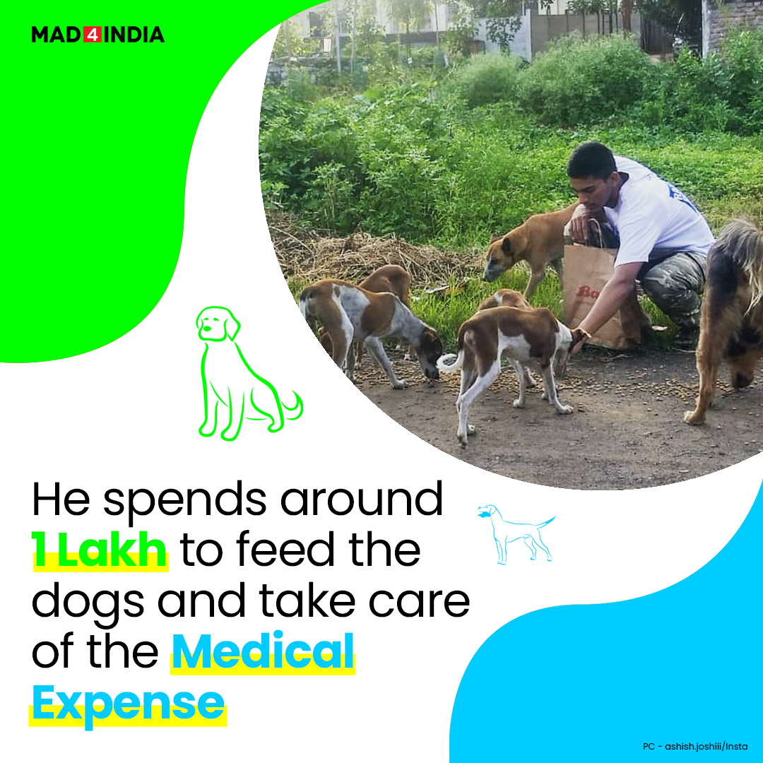 Mad4IndiaDotCom's tweet image. We don’t need a superpower to save lives, but it just takes some kindness. Ashish Joshi, who is just 24-years-old makes us understand with his heart-melting story.

#AshishJoshi #plants #DenseForest #strayanimals 
#strays #rescueddogs #aurangabad #animals