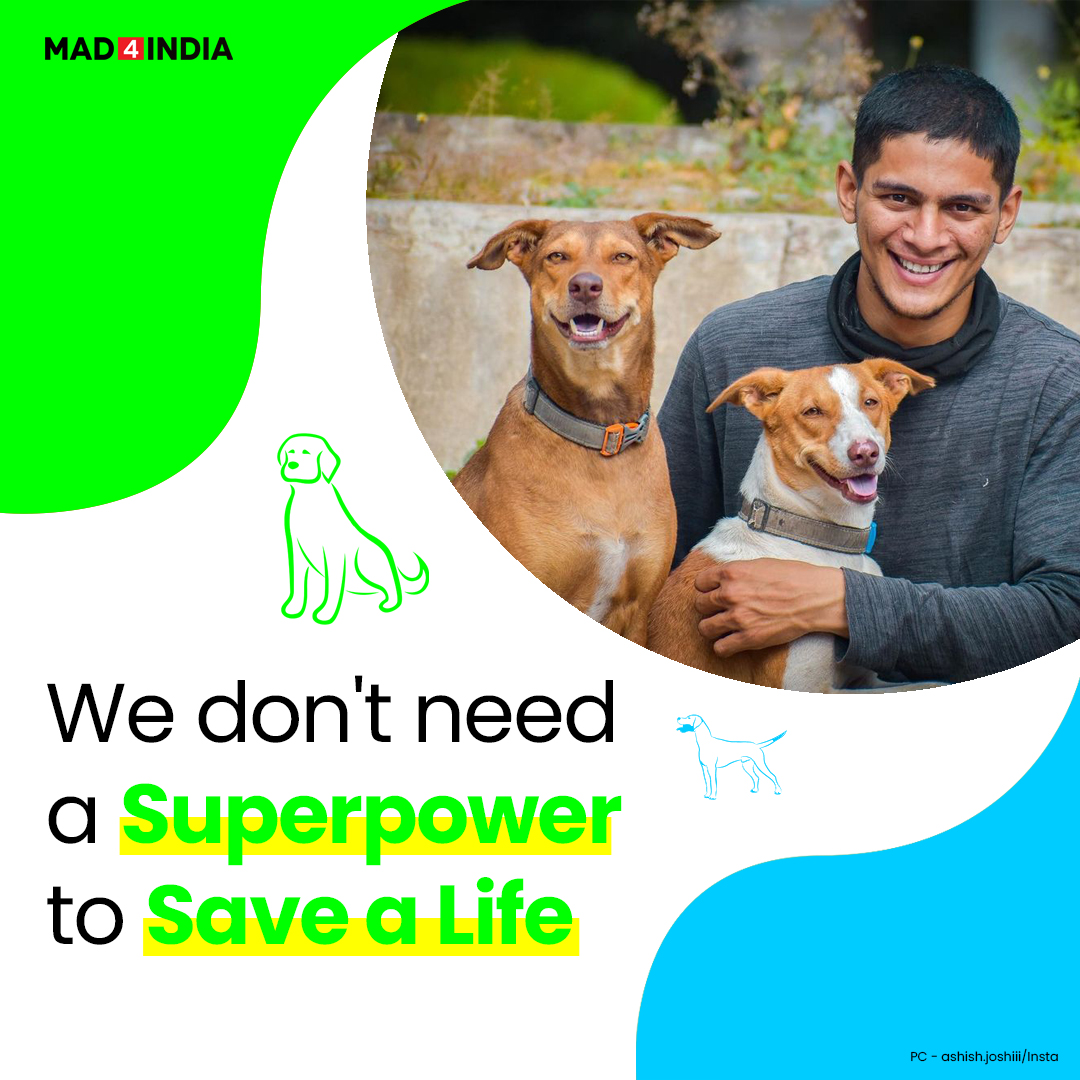 Mad4IndiaDotCom's tweet image. We don’t need a superpower to save lives, but it just takes some kindness. Ashish Joshi, who is just 24-years-old makes us understand with his heart-melting story.

#AshishJoshi #plants #DenseForest #strayanimals 
#strays #rescueddogs #aurangabad #animals