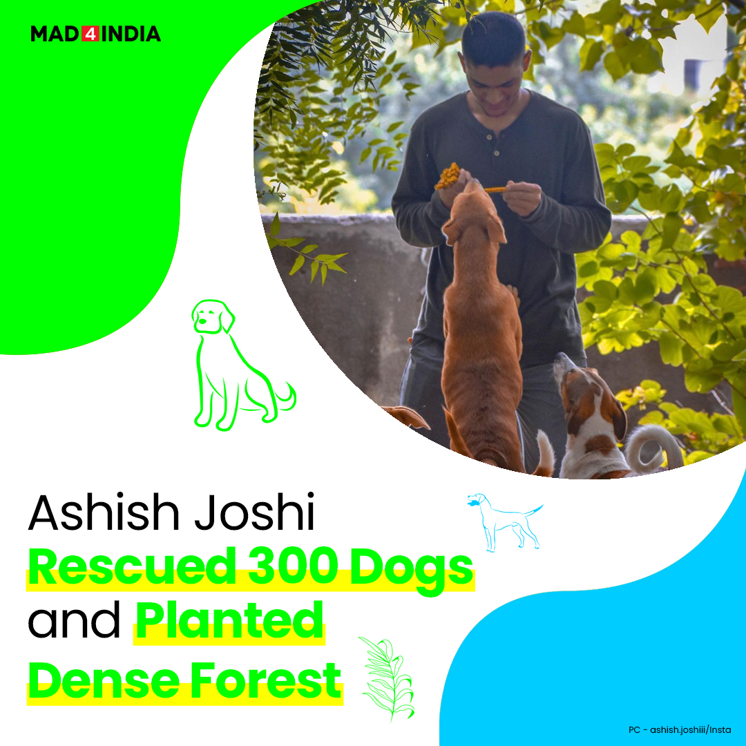 Mad4IndiaDotCom's tweet image. We don’t need a superpower to save lives, but it just takes some kindness. Ashish Joshi, who is just 24-years-old makes us understand with his heart-melting story.

#AshishJoshi #plants #DenseForest #strayanimals 
#strays #rescueddogs #aurangabad #animals