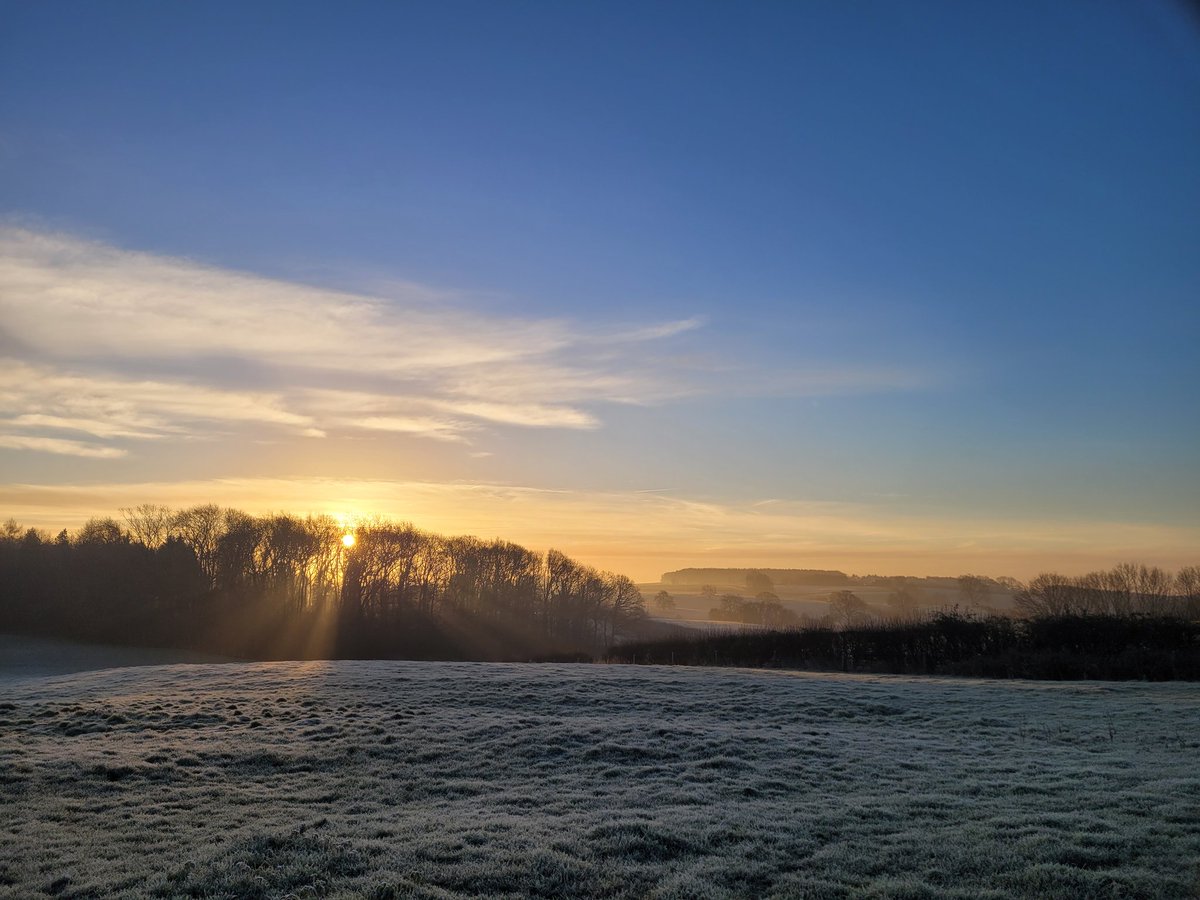 ianthemoleman1's tweet image. Beautiful morning 
#pestcontrol #vermincontrol #molecatcher