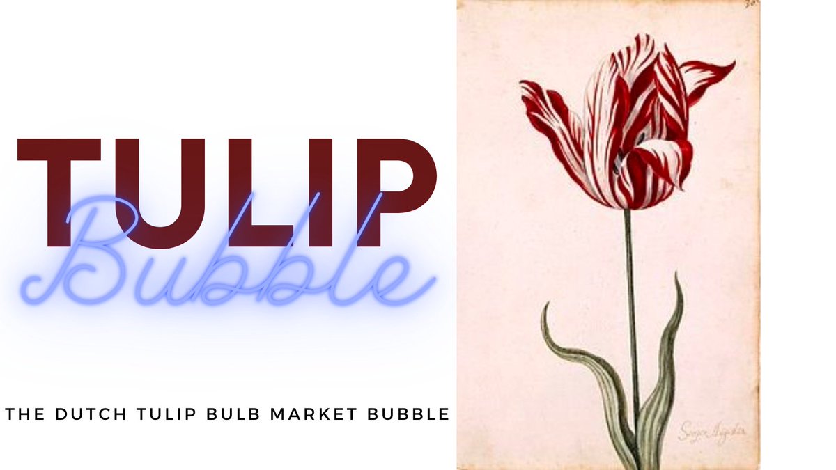 The first great financial bubble Tulip Mania 1637 A thread 🧵(1/8) 