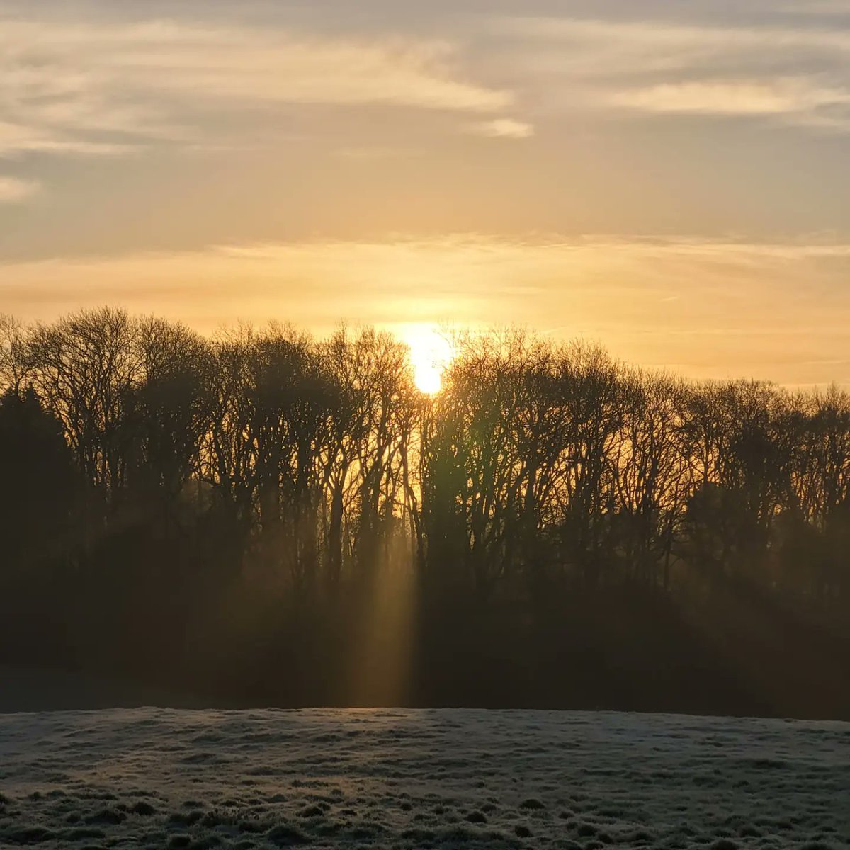 ianthemoleman1's tweet image. Beautiful morning 
#pestcontrol #vermincontrol #molecatcher