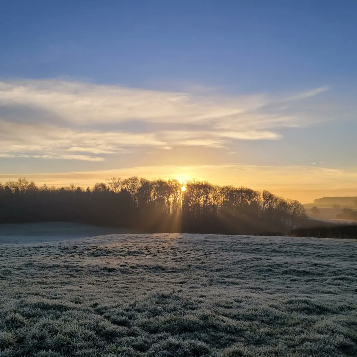 ianthemoleman1's tweet image. Beautiful morning 
#pestcontrol #vermincontrol #molecatcher